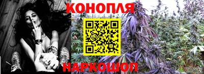 mdma Бийск
