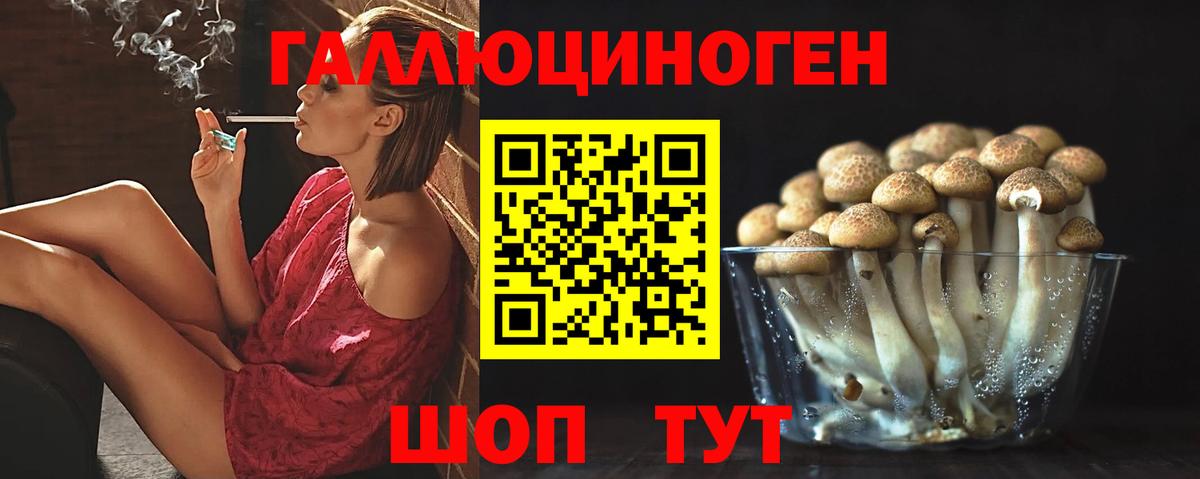 Галлюциногенные грибы мухоморы  Галлюциногенные грибы Psilocybine cubensis  Зима  Вход с VPN 