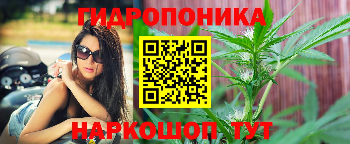 Каннабис SATIVA & INDICA  Каннабис AK-47  Бошки марихуана тримм  Вход с VPN  Зима  Канабис сатива 